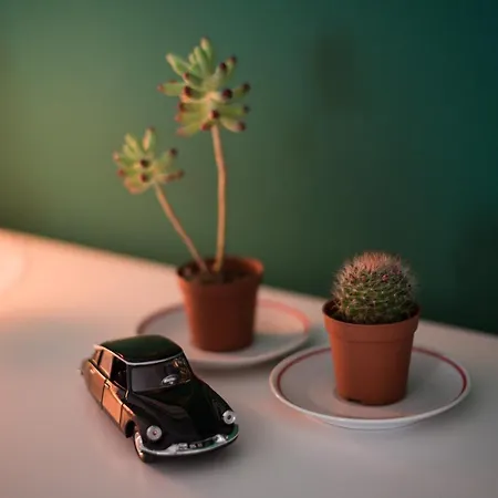 Dog Lovers Apartment City Center Pula