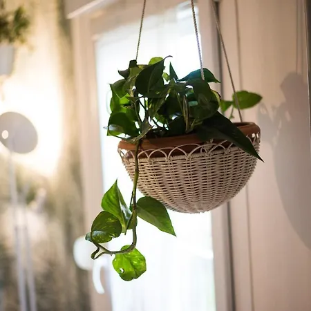 Apartament Green Cozy Central Apartment