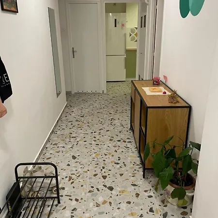 Avocado Apartment City Center- Pet Friendly! Apartamento