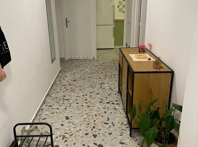 Avocado Center- Pet Friendly! Lejlighed