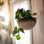 Apartment Avocado Center- Pet Friendly!