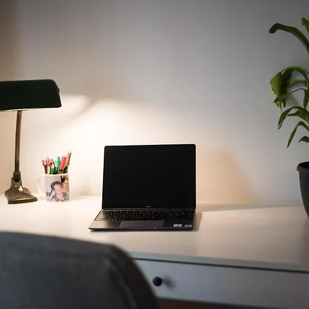 Dog Lovers Apartment City Center *