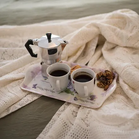 Apartman Avocado Apartment City Center- Pet Friendly!