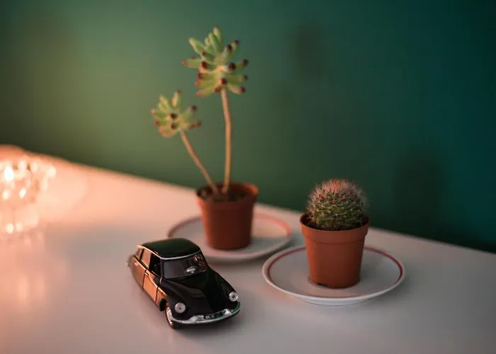 Avocado Center- Pet Friendly! Pula