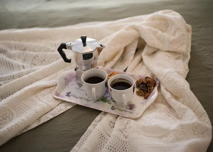 Apartament Avocado Center- Pet Friendly!