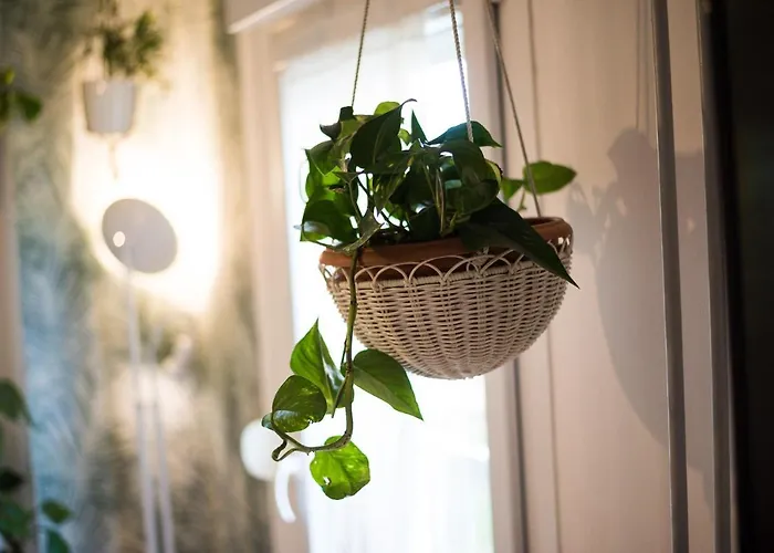 Apartament Avocado Center- Pet Friendly!